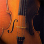 Violin Basics