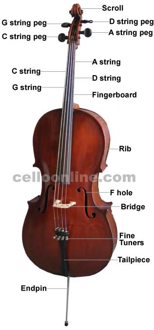 Cello Online - Cello and Bow